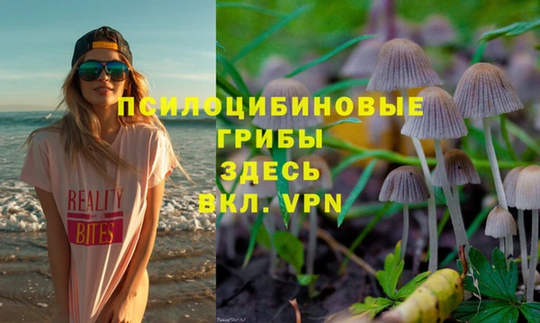 метамфетамин Алексеевка